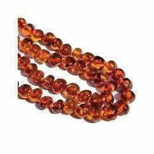 Child Brandy Snap Cognac Baltic Amber Necklace