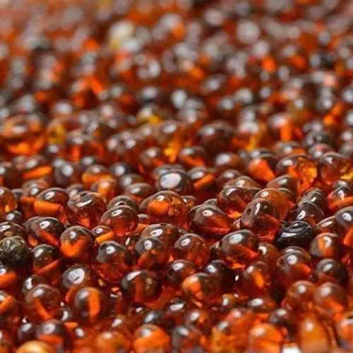 Child Brandy Snap Cognac Baltic Amber Necklace