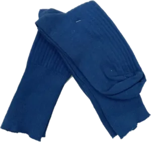 Laerskool Fontainebleau Anklets (Double Pack)