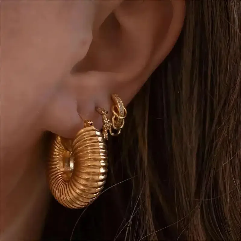 Luxurious Glossy Chunky Hoop Earrings 32 Styles Gold & Sliver
