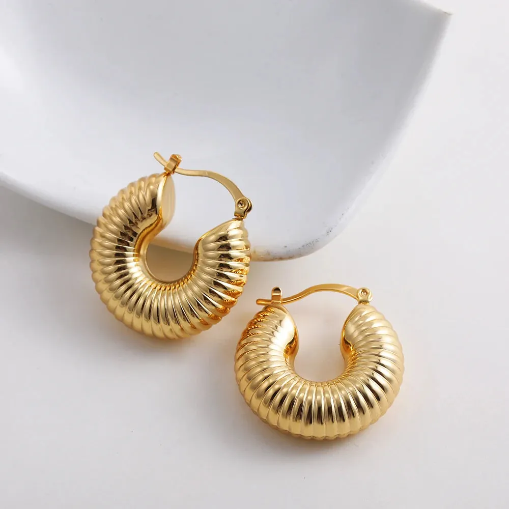 Luxurious Glossy Chunky Hoop Earrings 32 Styles Gold & Sliver