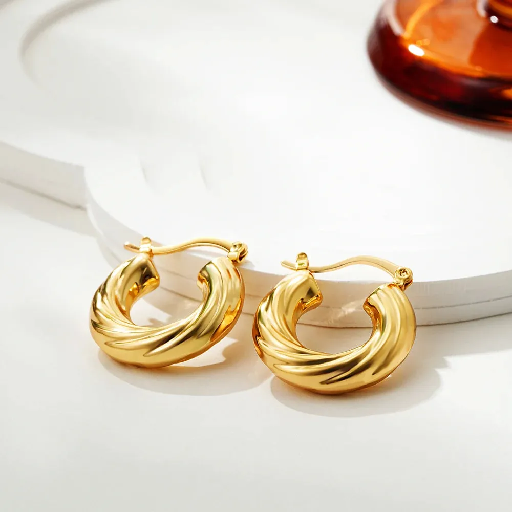 Luxurious Glossy Chunky Hoop Earrings 32 Styles Gold & Sliver