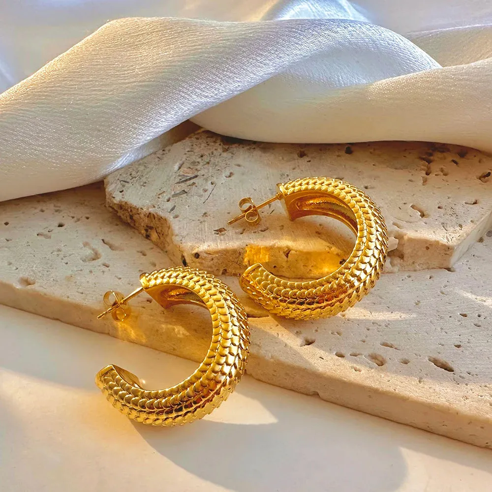 Luxurious Glossy Chunky Hoop Earrings 32 Styles Gold & Sliver
