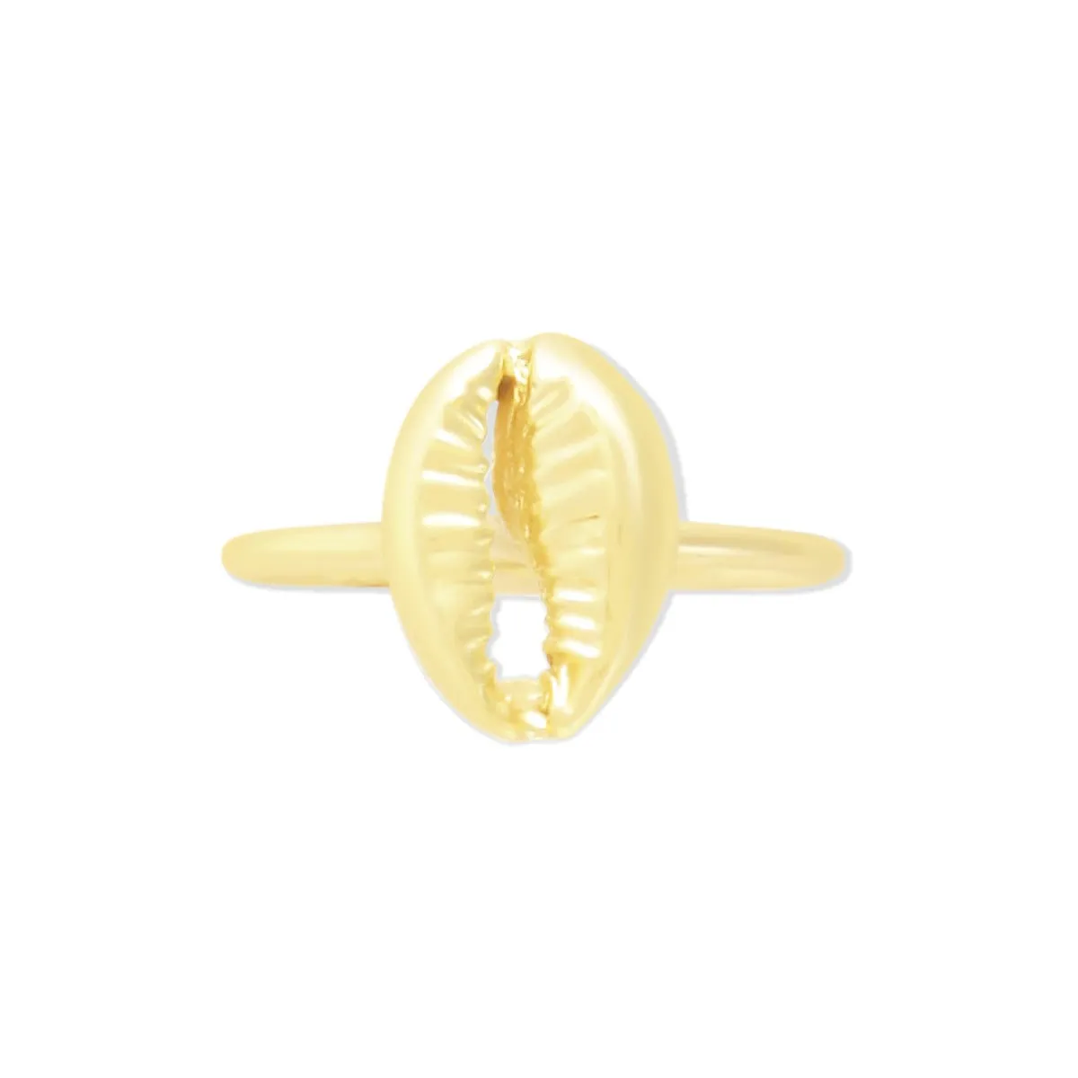 SHELL RING