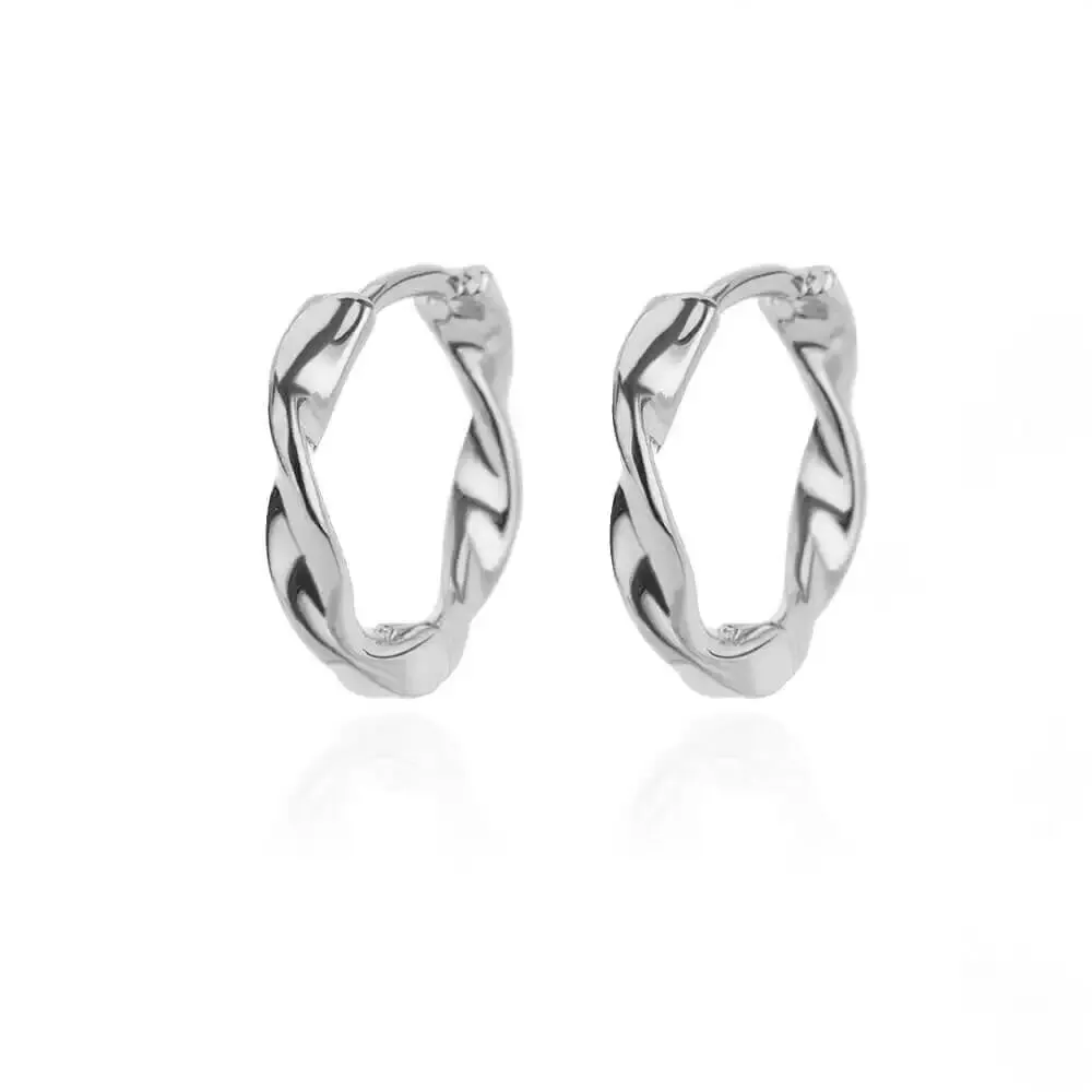 Stainless Steel Hoop Earrings for Women Luxury Gold Color