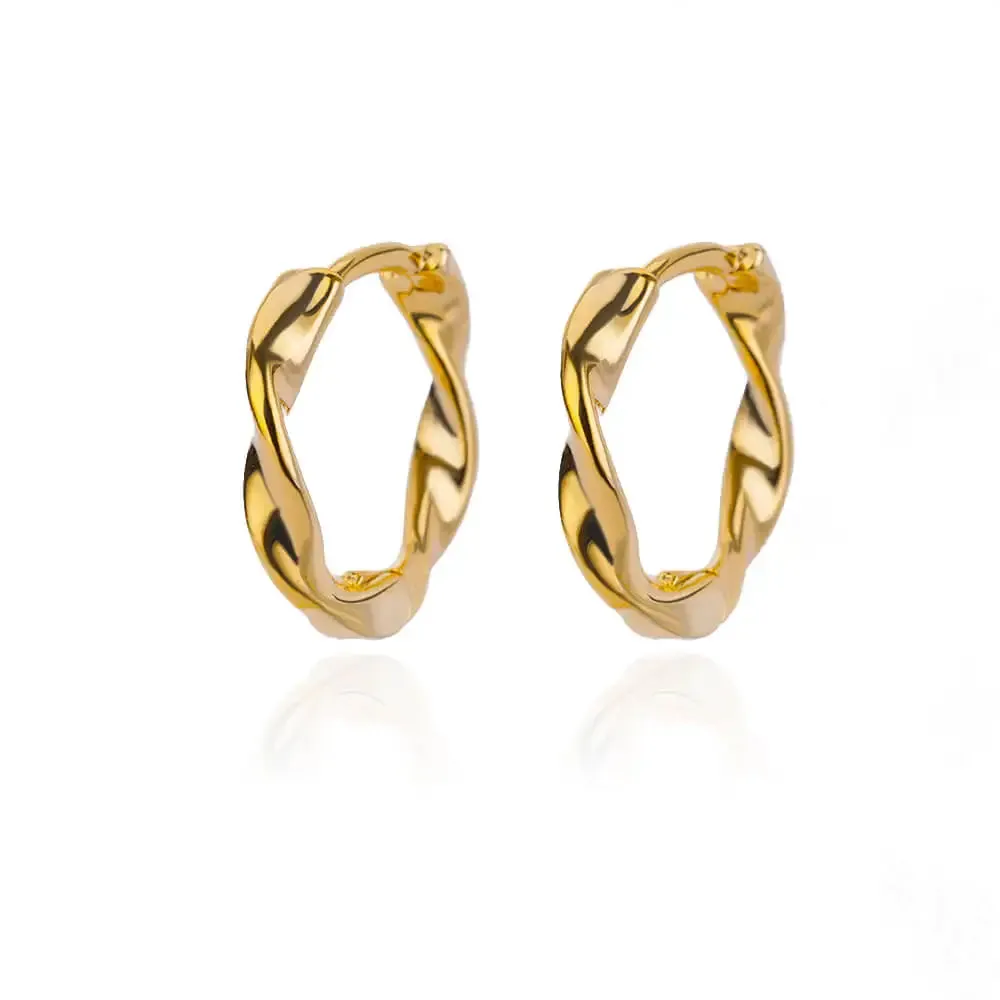 Stainless Steel Hoop Earrings for Women Luxury Gold Color